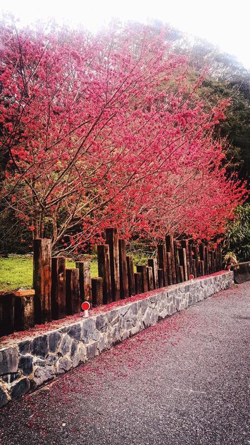 Taroko Formosa Homestay Xiulin Exterior foto