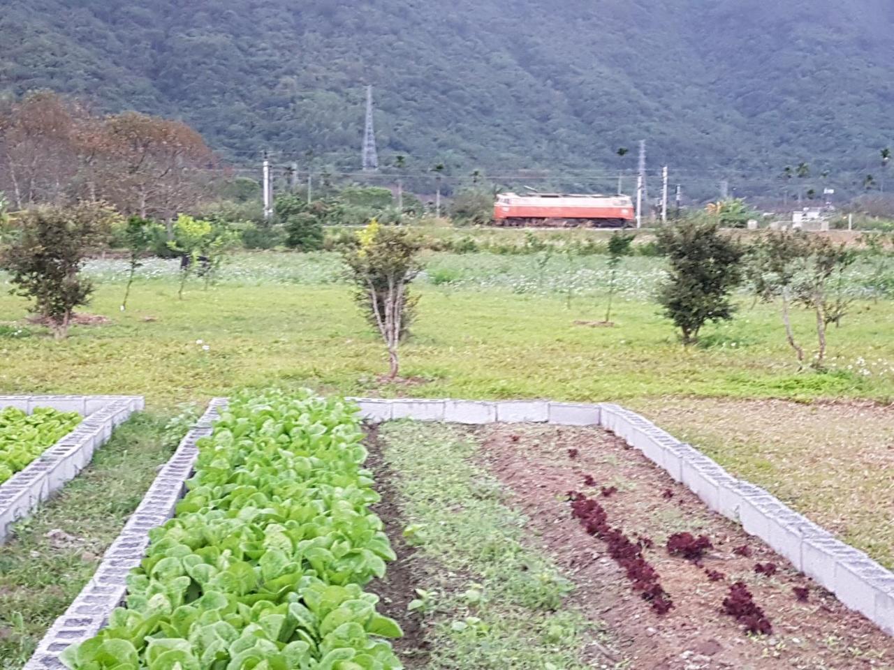 Taroko Formosa Homestay Xiulin Exterior foto